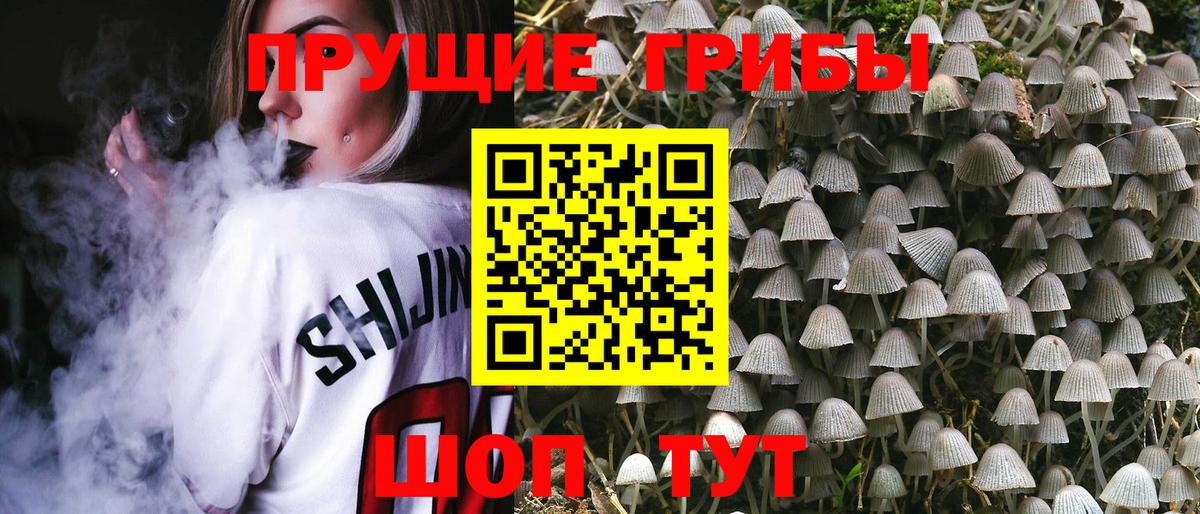 Галлюциногенные грибы Psilocybine cubensis Стрежевой