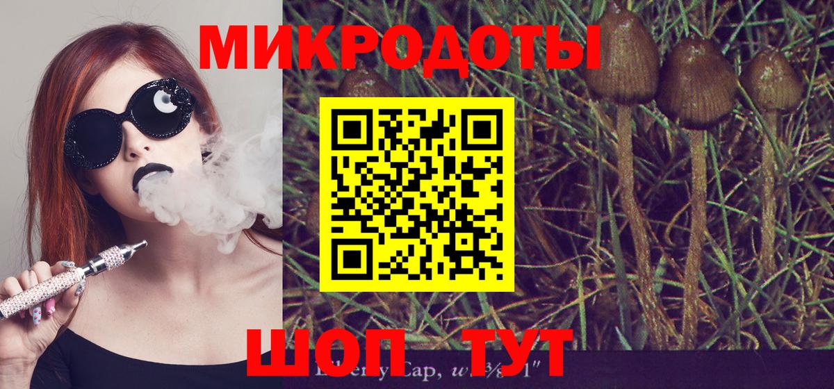 Галлюциногенные грибы Psilocybe  Галлюциногенные грибы Cubensis  Вход с VPN  Стрежевой 
